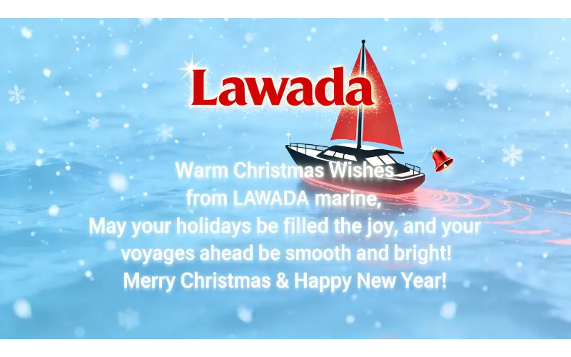 Is Your City Snowing? Merry Christmas with Lawada® First Snow Surprise​