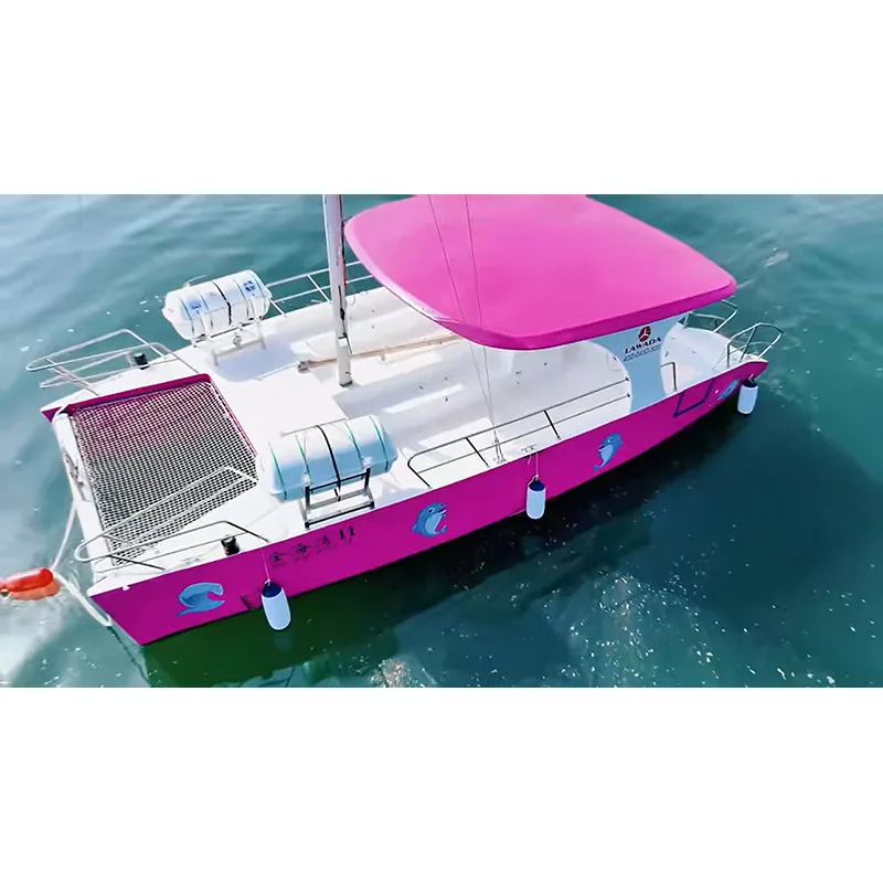 30FT Commercial Catamaran
